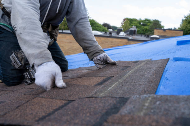 Reliable Mcadenville, NC Roofing Contractor Solutions